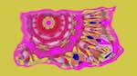 image: an image