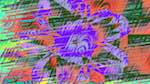 First of 'reflets &mdash; msg &mdash; variations 2 new 7 10'.