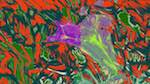 First of 'reflets &mdash; msg &mdash; variations 2 new 7 13'.