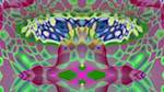 Fourth of 'reflets &mdash; msg &mdash; variations 2 new 8 10'.