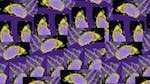 Eighth of 'reflets &mdash; msg &mdash; variations 2 new 8 10'.