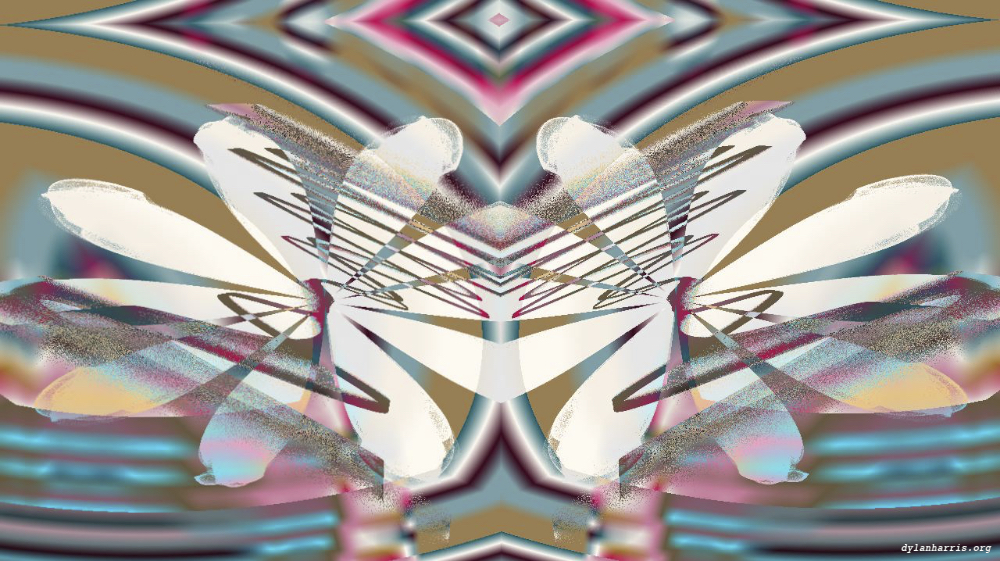 image: an image