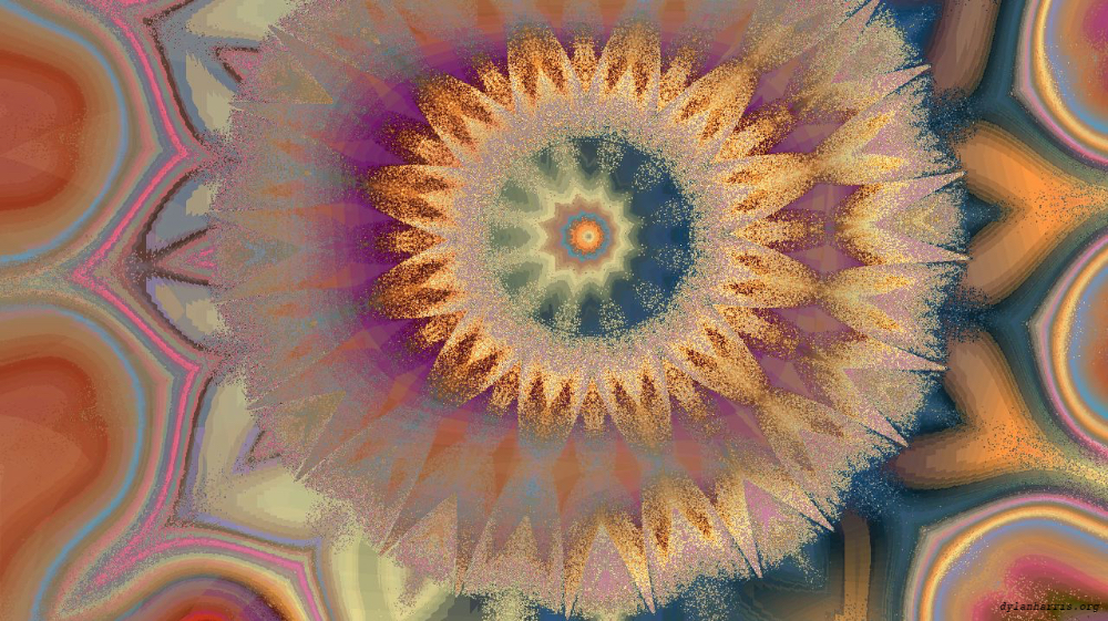 image: an image