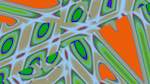 First of 'reflets &mdash; msg &mdash; variations 2 new 8 4'.