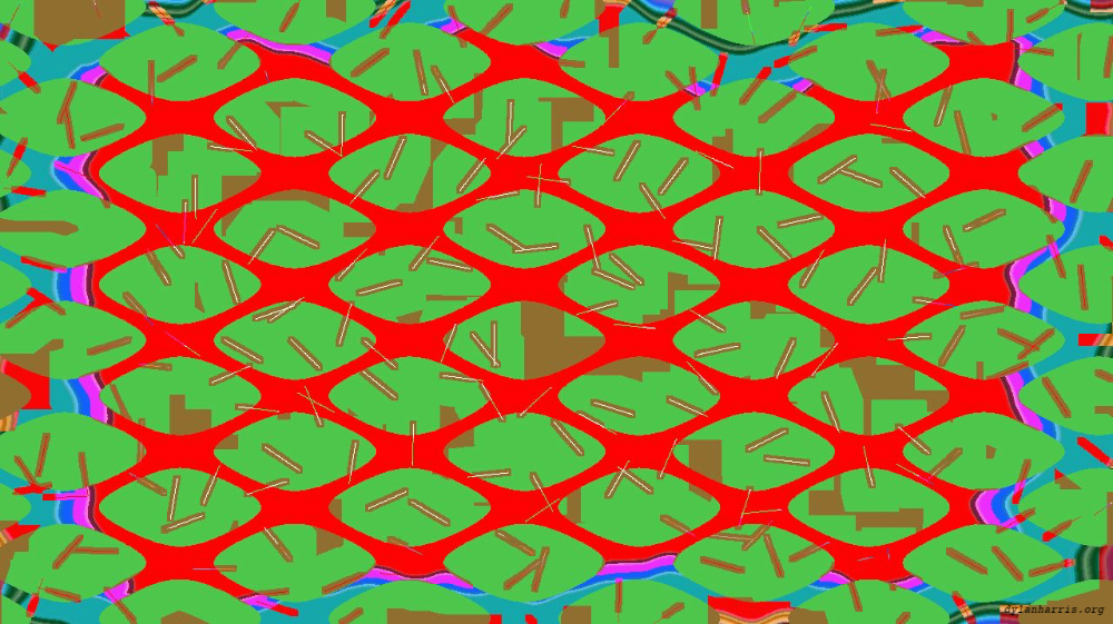 image: an image