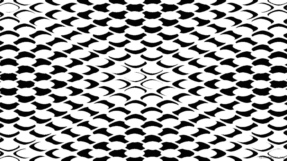 image: an image