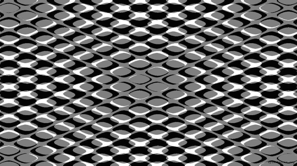 image: an image