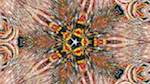 Fourth of 'reflets &mdash; msg &mdash; variations 1 organic sym 3'.