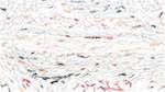 Third of 'reflets &mdash; paint action sequence &mdash; paint 1'.