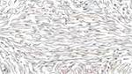 Seventh of 'reflets &mdash; paint action sequence &mdash; paint 1'.