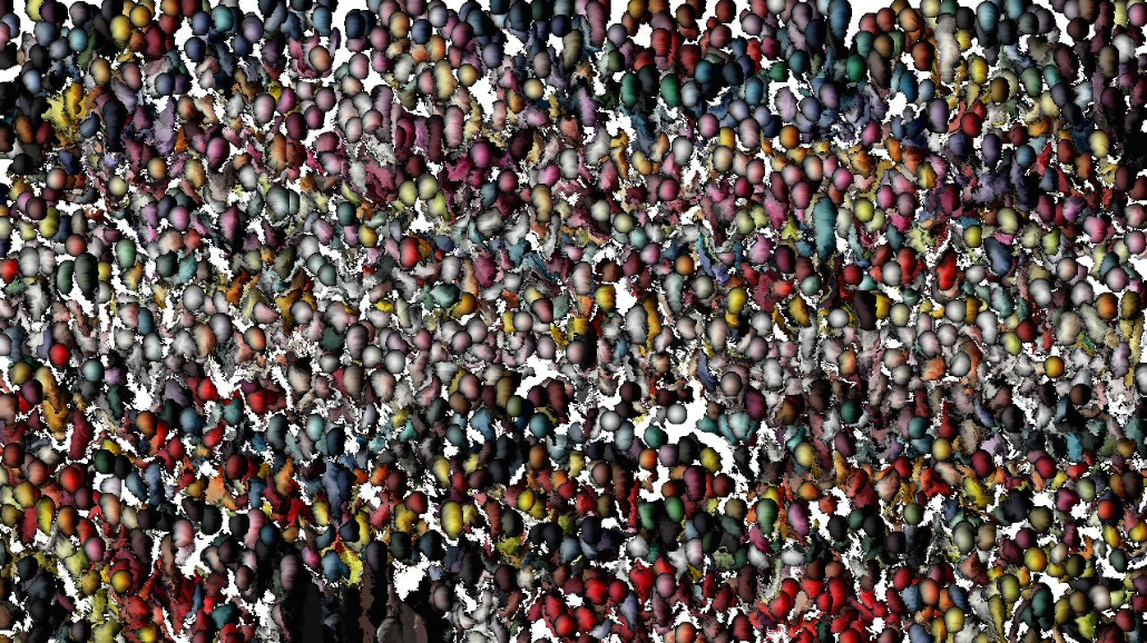 image: an image