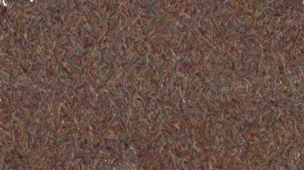 image: an image