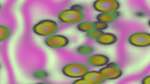 Seventh of 'reflets &mdash; msg &mdash; variations 0 pattern 2 1'.
