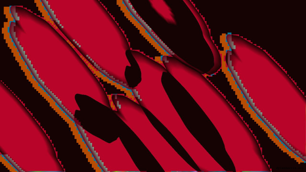 image: an image