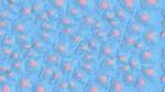 First of 'reflets &mdash; msg &mdash; variations 1 pattern 1'.