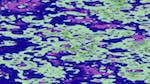 Third of 'reflets &mdash; msg &mdash; abstract patterns'.