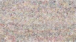 image: an image