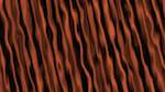 Fifth of 'reflets &mdash; msg &mdash; users patterns 1 2'.