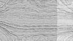 Third of 'reflets &mdash; paint action sequence &mdash; pantograph etching 1'.