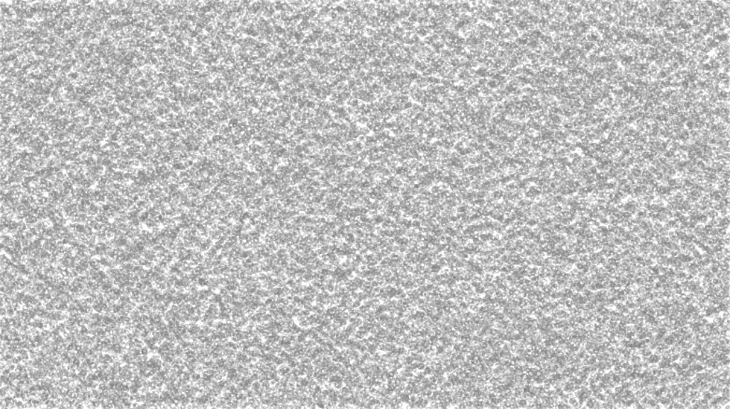 image: an image