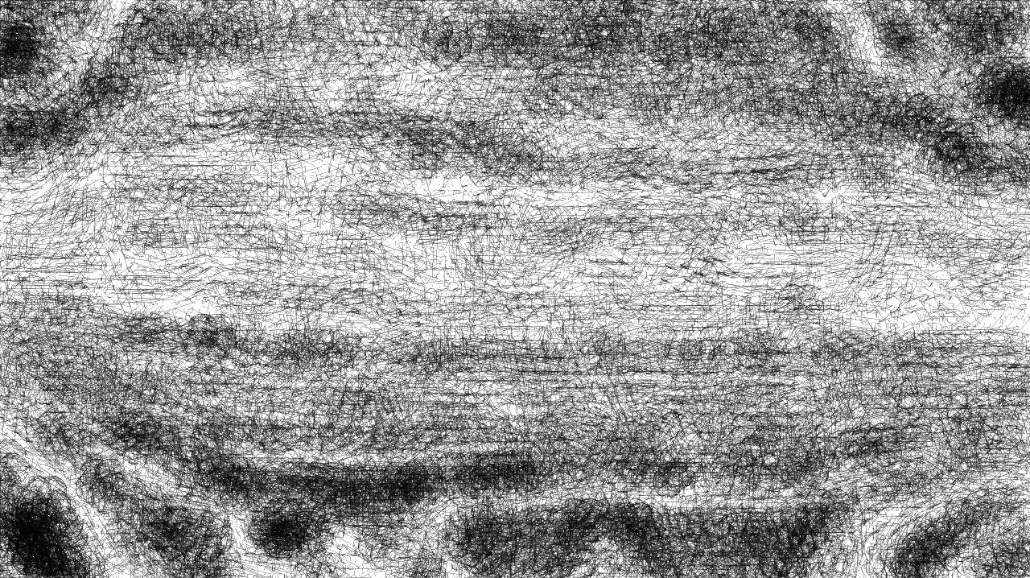 image: an image