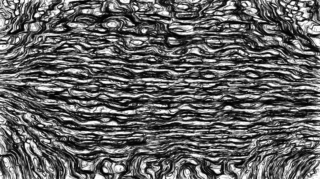 image: an image