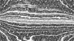 image: an image