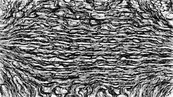 image: an image