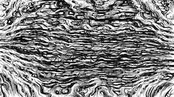 image: an image