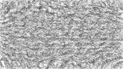 image: an image