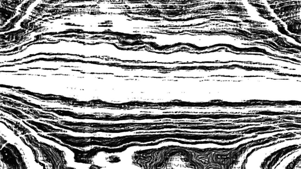 image: an image