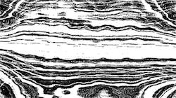 image: an image