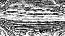 image: an image