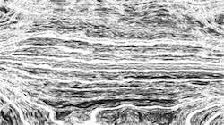 image: an image