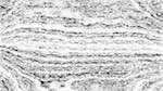 Seventh of 'reflets &mdash; paint action sequence &mdash; pencil sketch 1'.