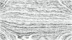 Eighth of 'reflets &mdash; paint action sequence &mdash; pencil sketch 1'.