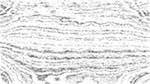 First of 'reflets &mdash; paint action sequence &mdash; pencil sketch 2'.