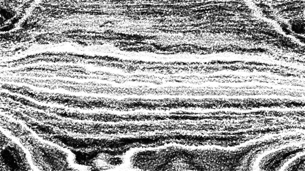 image: an image
