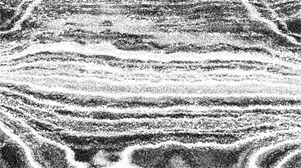 image: an image