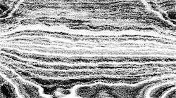 image: an image
