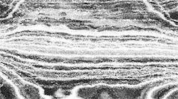 image: an image