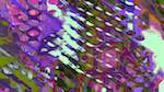 Sixth of 'reflets &mdash; msg &mdash; variations 1 pastel grid like 1'.