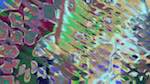 Eighth of 'reflets &mdash; msg &mdash; variations 1 pastel grid like 1'.