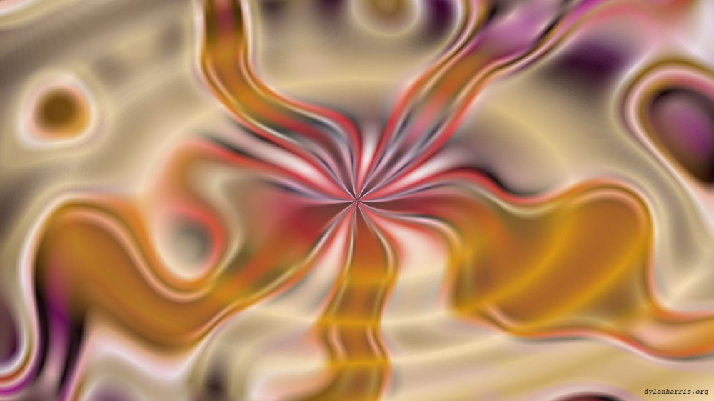 image: an image