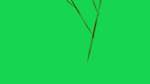 First of 'reflets &mdash; msg &mdash; abstract 1 plantlike'.