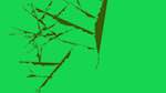 Second of 'reflets &mdash; msg &mdash; abstract 1 plantlike'.