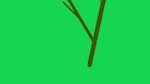 Third of 'reflets &mdash; msg &mdash; abstract 1 plantlike'.