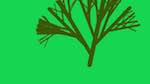 Fourth of 'reflets &mdash; msg &mdash; abstract 1 plantlike'.