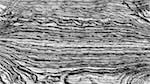 Seventh of 'reflets &mdash; msg &mdash; processing effects 1 printmaking ideas 1'.
