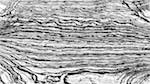 First of 'reflets &mdash; msg &mdash; processing effects 1 printmaking ideas 2'.